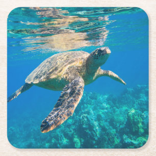 Dessous-de-verre Carré En Papier Tortue de mer de natation