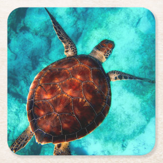 Dessous-de-verre Carré En Papier Tortue de mer Vie marine