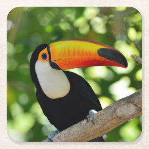 Dessous-de-verre Carré En Papier Toucan