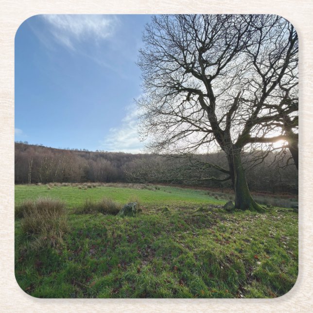 Dessous-de-verre Carré En Papier Tree view.. (Devant)
