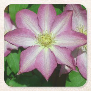 Dessous-de-verre Carré En Papier Trio de Clematis Pink and White Spring Vine