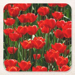 Dessous-de-verre Carré En Papier Tulipe élégante et fleurs florales Roses Photograp