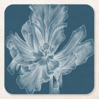 Tulipe monochrome II