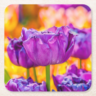 Dessous-de-verre Carré En Papier Tulipes Envoûtantes Violettes