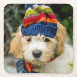 Dessous-de-verre Carré En Papier Un chiot doux de Cavachon dans un casquette et une