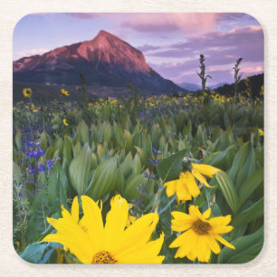 Dessous-de-verre Carré En Papier USA, Colorado, Mt. Crested Butte