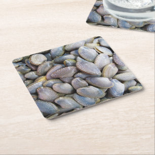 Dessous-de-verre Carré En Papier Venus Clam [ห อ ย ล า ย]