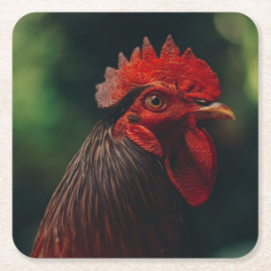 Dessous-de-verre Carré En Papier Vue rapprochée d'un coq
