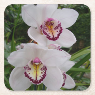 Dessous-de-verre Carré En Papier White Orchids Beautiful Tropical Flowers