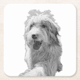 Dessous-de-verre Carré En Papier Yeux doux, surface solide – Portrait de chien mono