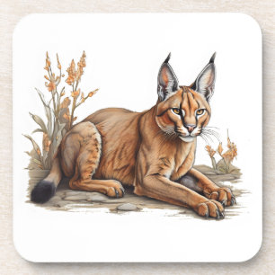 Dessous-de-verre Carte postale