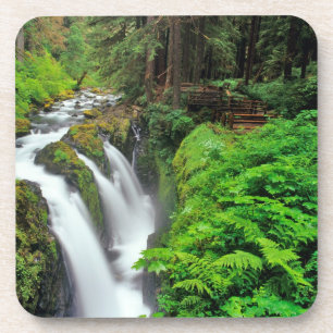 Dessous-de-verre Cascades de Sol Duc dans le parc national Olympiqu