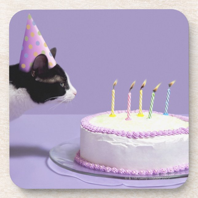 Dessous-de-verre Casquette de port d'anniversaire de chat soufflant (Devant)