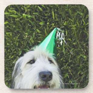 Dessous-de-verre Casquette de port de partie de chien
