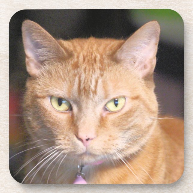 Dessous-de-verre Cat (Devant)