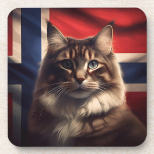 Dessous-de-verre Catéchiste Norvégienne Devant Le Drapeau Norvégien