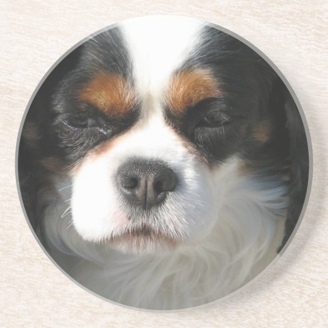 Dessous de verre cavaliers de chien d'épagneul du (Devant)