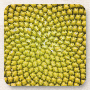 Dessous-de-verre Centre de grand Tournesol (Helianthus annuus)