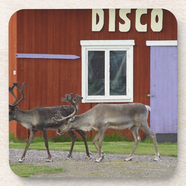 DESSOUS-DE-VERRE CERFS COMMUNS DE DISCO (Devant)