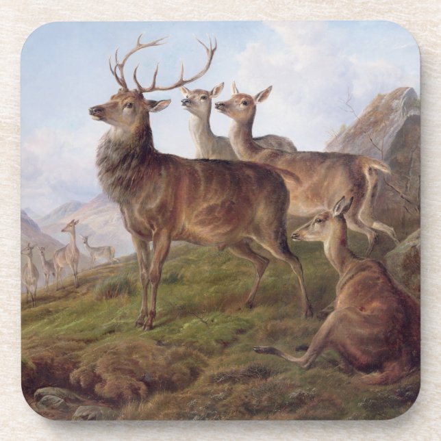 Dessous-de-verre Cerfs communs rouges dans un paysage des (Devant)