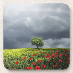 Dessous-de-verre Champ de pavot et ciel nuageux