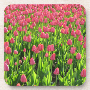 Dessous-de-verre Champ de tulipes roses
