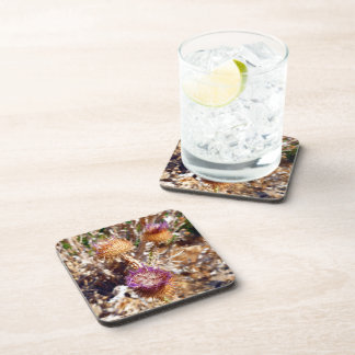 Dessous-de-verre Chardon