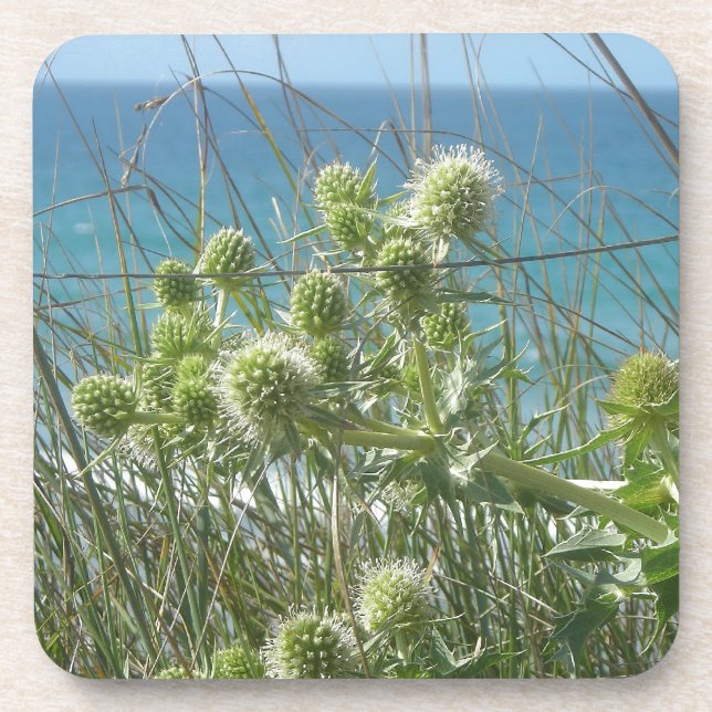 Dessous-de-verre chardons (Devant)