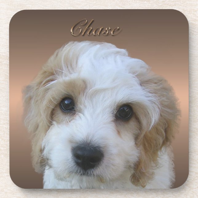 Dessous de verre Chase Cork (Devant)