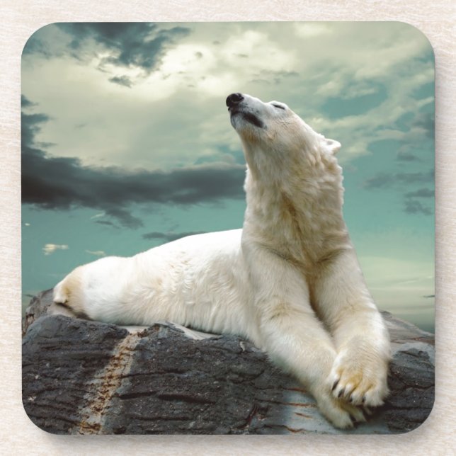 Dessous-de-verre Chasseur blanc d'ours blanc sur la roche (Devant)