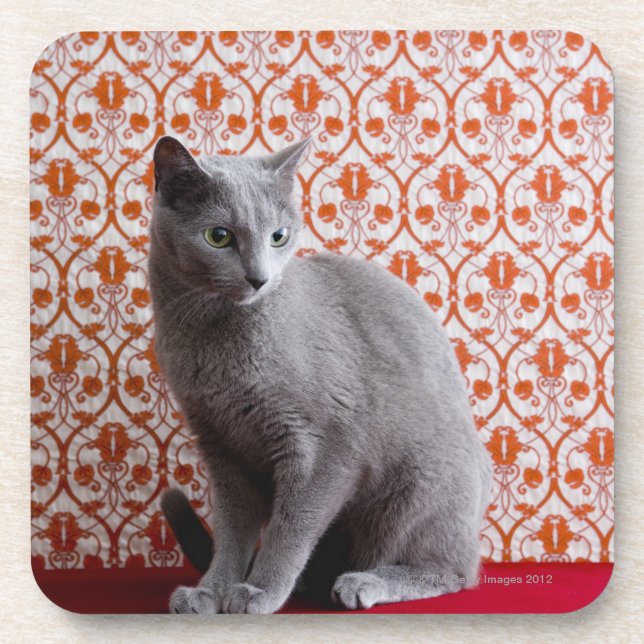 Dessous-de-verre Chat (bleu russe) et arrière - plan de papier (Devant)