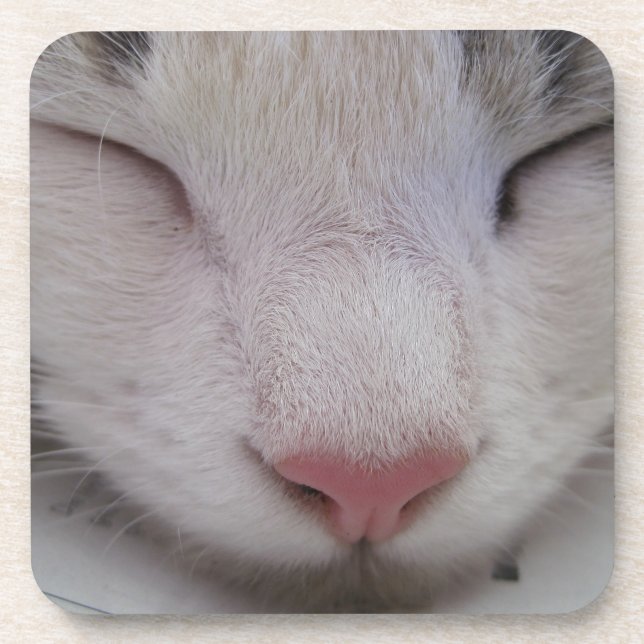 Dessous-de-verre Chat couché (Devant)