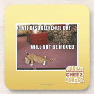 Dessous-de-verre Chat de désobéissance civile