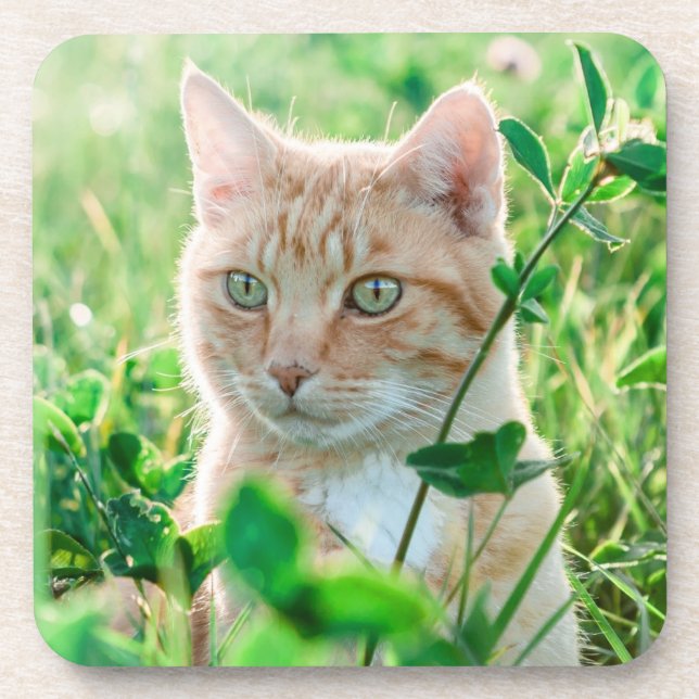 Dessous-de-verre Chat de gingembre avec yeux verts en herbe (Devant)
