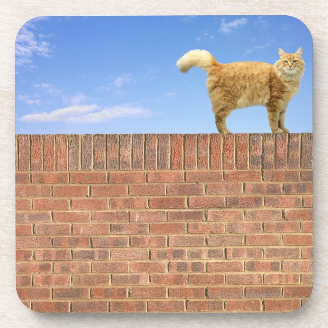 Dessous-de-verre Chat de gingembre se tenant sur le mur de briques (Devant)