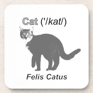 Dessous-de-verre Chat Felis Catus