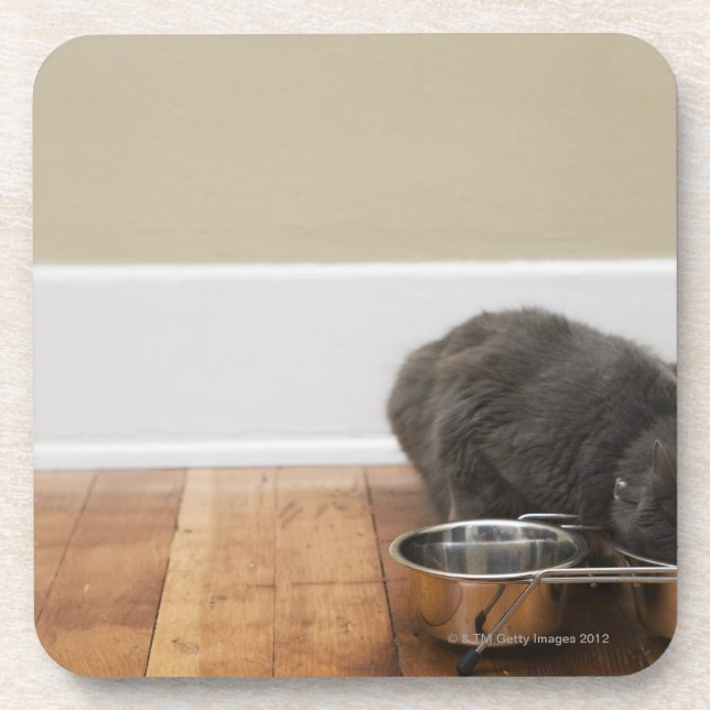 Dessous-de-verre Chat mangeant de la cuvette (Devant)