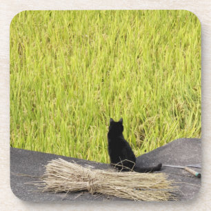 Dessous-de-verre Chat noir dans la rizière