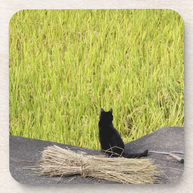 Dessous-de-verre Chat noir dans la rizière (Devant)