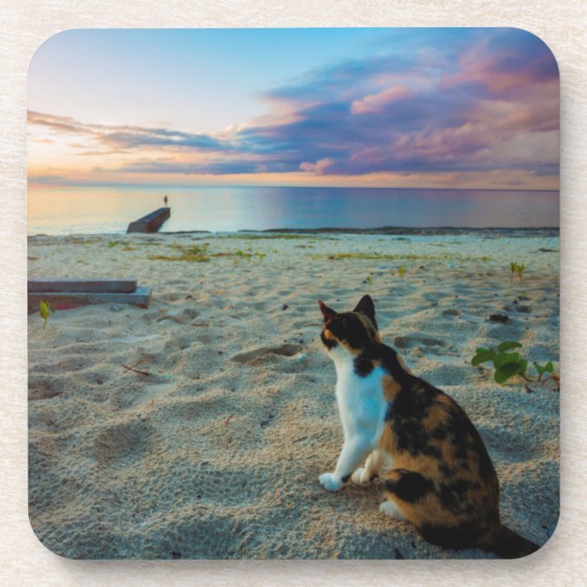 Dessous-de-verre Chat se reposant sur une plage (Devant)