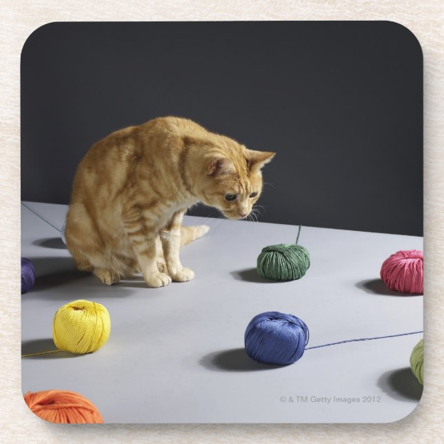 Dessous-de-verre Chat tigré de gingembre se reposant sur la table (Devant)