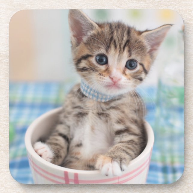 Dessous-de-verre Chaton de Munchkin avec le joli ruban (Devant)