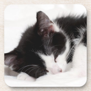 Dessous-de-verre Chaton de sommeil