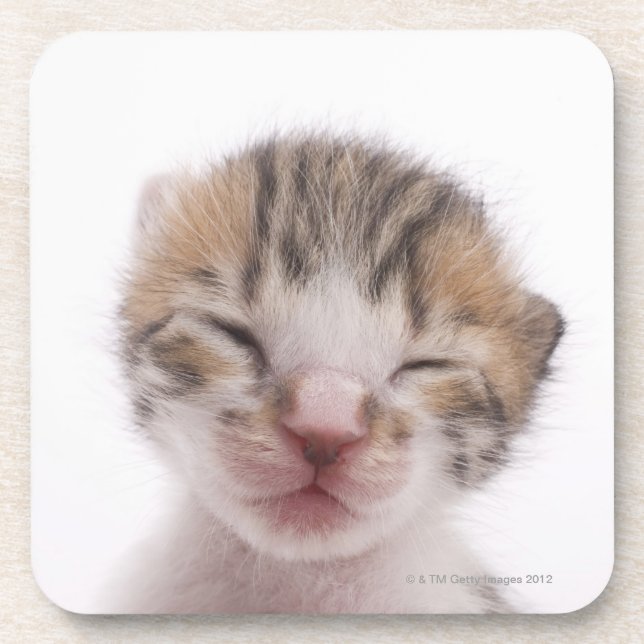 Dessous-de-verre Chaton de sommeil (Devant)