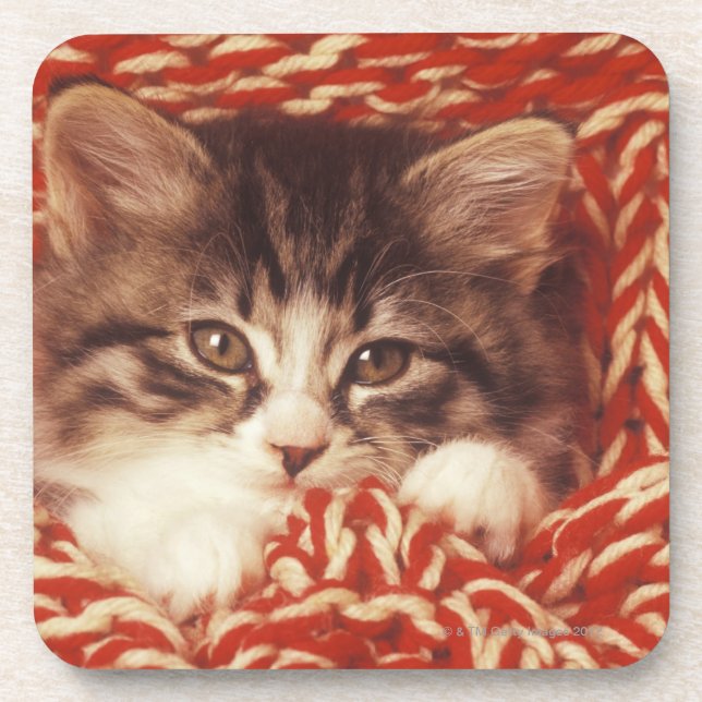 Dessous-de-verre Chaton enveloppé dans la couverture de laine, plan (Devant)