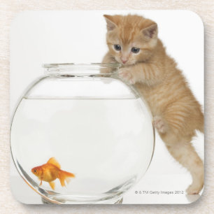 Dessous-de-verre Chaton essayant d'en avoir après un poisson rouge