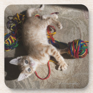 Dessous-de-verre Chaton jouant avec le fil