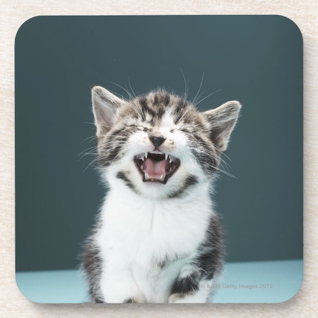 Dessous-de-verre Chaton meowing (Devant)