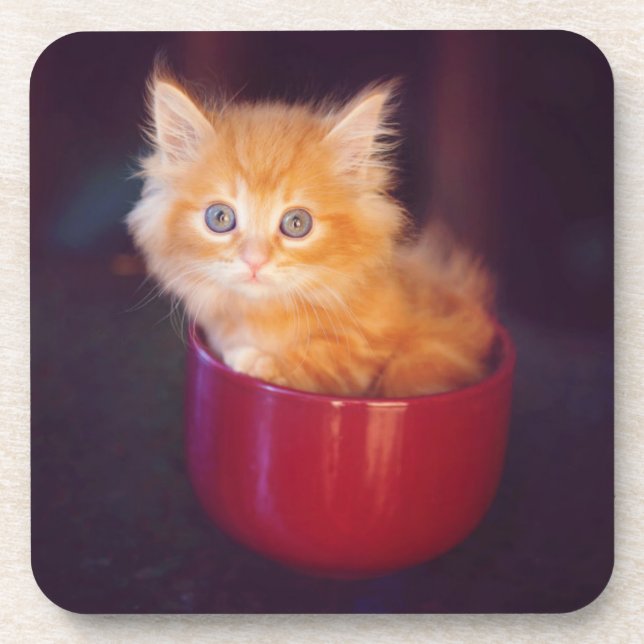 Dessous-de-verre Chaton orange dans une tasse rouge (Devant)