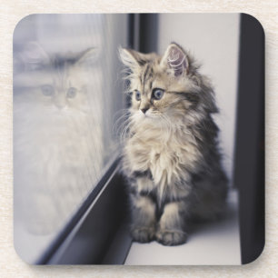 Dessous-de-verre Chaton regardant la fenêtre